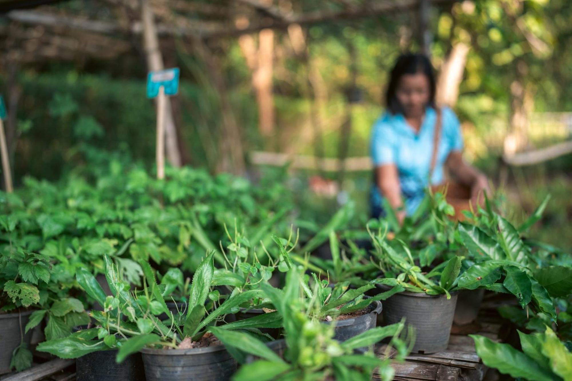 Na Sook Wellness Resort Ao Nam Mao Zewnętrze zdjęcie